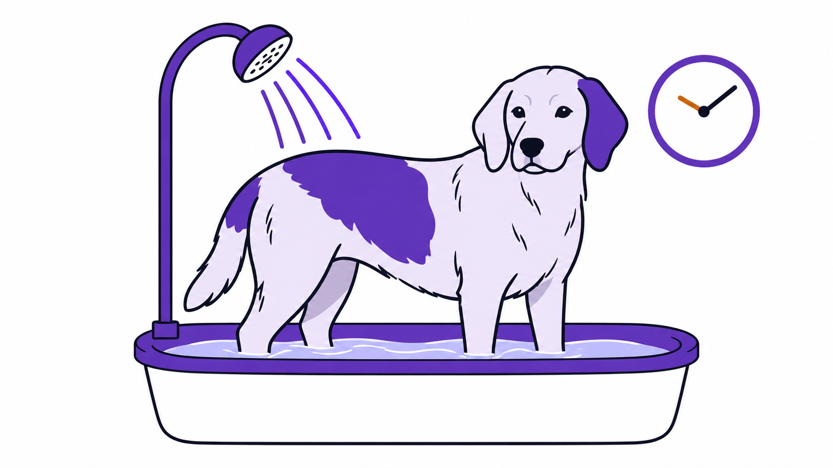 Ogni quanto lavare il cane